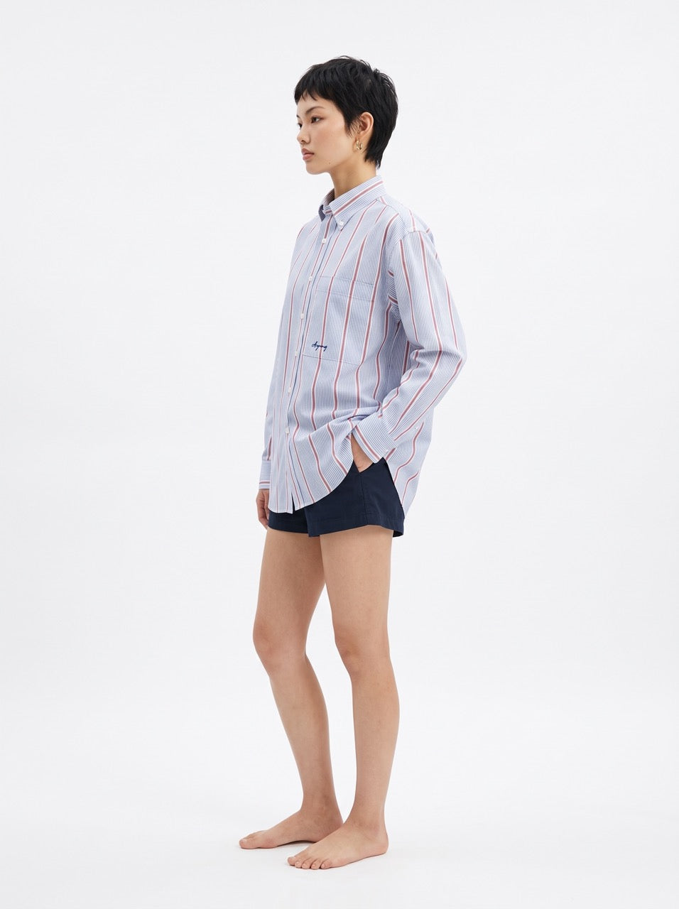 Blue, White & Red Yarn-Dyed Cotton Stripe Button-Down Shirt