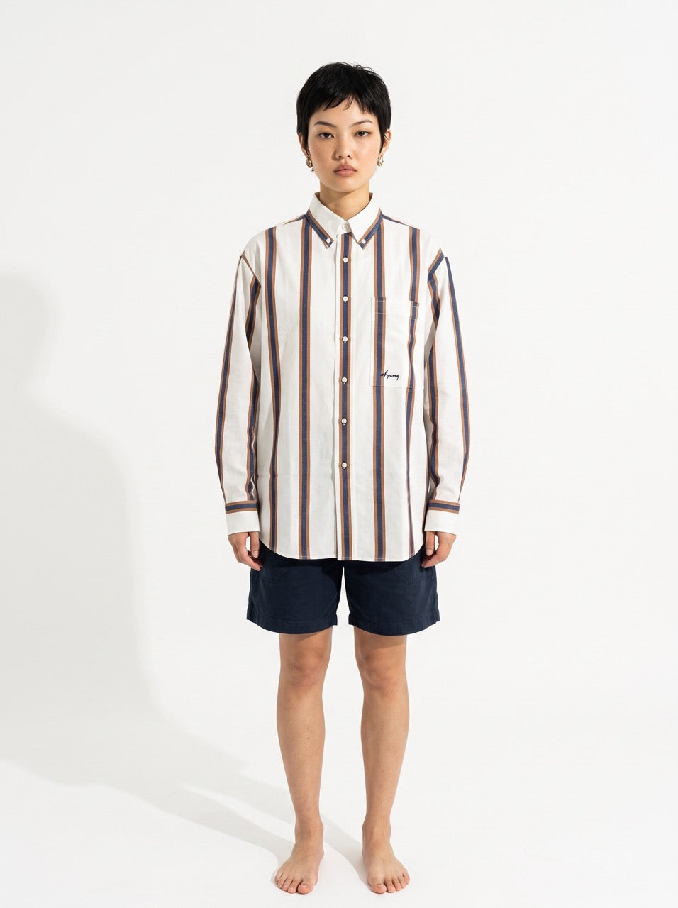 Blue and Brown Stripe Yarn-Dyed Cotton Button-Down Shirt