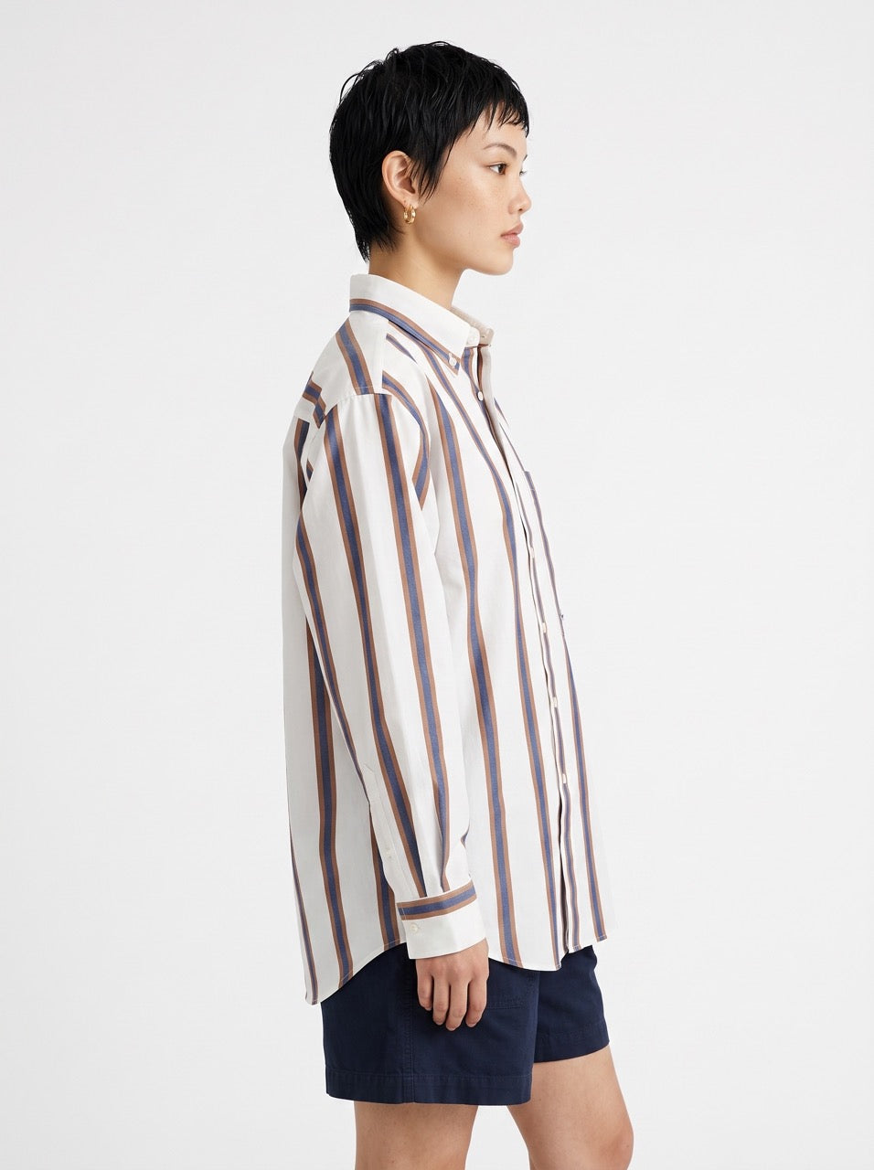 Blue and Brown Stripe Yarn-Dyed Cotton Button-Down Shirt