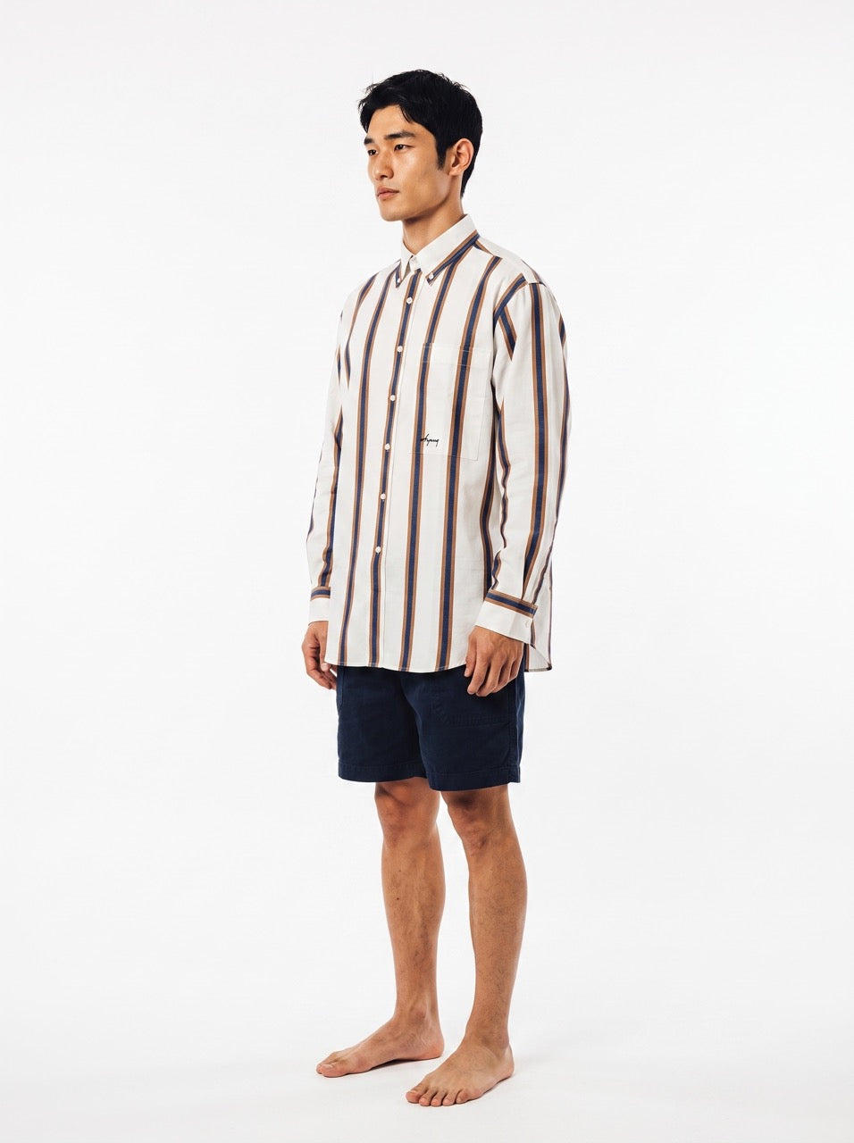 Blue and Brown Stripe Yarn-Dyed Cotton Button-Down Shirt