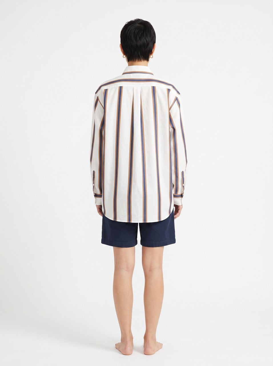 Blue and Brown Stripe Yarn-Dyed Cotton Button-Down Shirt