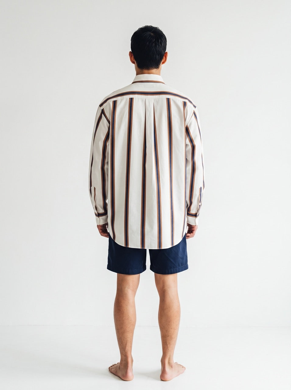 Blue and Brown Stripe Yarn-Dyed Cotton Button-Down Shirt